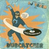 Dubcatcher - Instrumentals artwork
