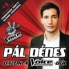 Pál Dénes - Vidéki Sanzon
