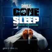 Gone Sleep artwork