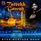 Tareekh Gawah artwork