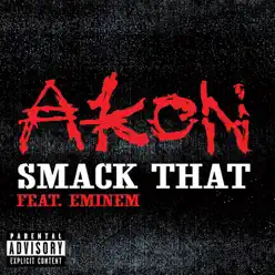 Smack That - France 2 Track (Featuring Eminem) - Single - Akon