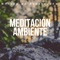 Aromaterapia Profunda - Espiritual Ilustración & Insomnia Cure Maestro lyrics