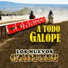 Corridos Todo Galope