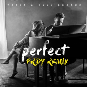 Topic & Ally Brooke Perfect