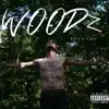 Stream & download Woodz