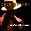 You're All Wrong - Single album lyrics, reviews, download