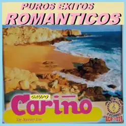 Puros Éxitos Románticos - Grupo Cariño