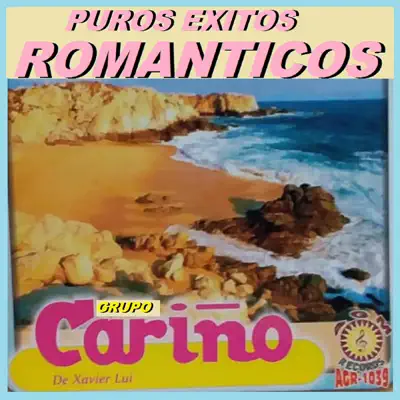 Puros Éxitos Románticos - Grupo Cariño