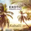 Exotic Paradise Lounge album lyrics, reviews, download
