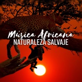 Música Africana: Naturaleza Salvaje - Sonidos Étnico para la Relajación artwork