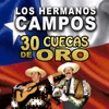 La Consentida by Los Hermanos Campos iTunes Track 3
