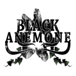 Why i am this kind of man