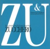 Zucchero - Everybody's Got To Learn Sometime (feat. Vanessa Carlton & Haylie Ecker)