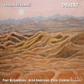 Desert (feat. Paul McCandless, Arild Andersen & Peter Erskine) artwork