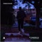 If U Wanted To (feat. Cameron Forbes) - Fabian Mazur lyrics