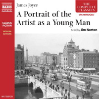 James Joyce - A Portrait of the Artist as a Young Man artwork