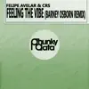Feeling the Vibe (Barney Osborn Remix) - Single album lyrics, reviews, download