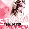 The Funk Phenomena - Single