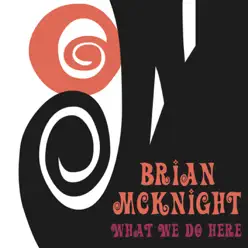 What We Do Here - Single - Brian Mcknight