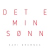 Det e min sønn - Single