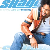 Strength of a Woman by Shaggy