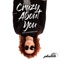 Crazy About You (Dave Audé Radio Edit) - Plumb & Dave Audé lyrics