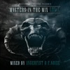 Masters in the Mix Vol V (Mixed by Angerfist and F. Noize), 2018