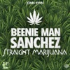 Straight Marijuana - Single