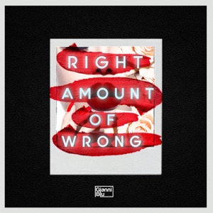 Right Amount of Wrong - Single