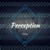 Perception, 2017