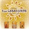 Bésame Mucho - Los Caballeros lyrics