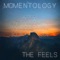 Acoustic Soul - Momentology lyrics