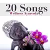 20 Songs from the Secret World of Wellness Ayurveda: Ancient India Music and Meditation Music album lyrics, reviews, download