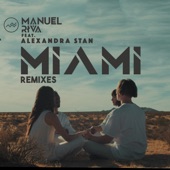 Miami (feat. Alexandra Stan) [Remixes] artwork