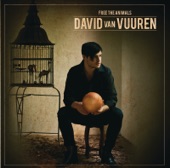 David Van Vuuren - Hall of Mirrors