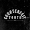 The Youth - Counterfeit Youth lyrics