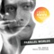 Parallel Worlds (Pascal Schumacher Remix) - David Ianni & Pascal Schumacher lyrics