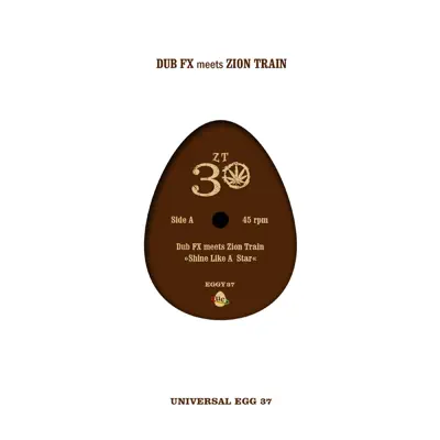Shine Like a Star (feat. Zion Train) - Single - Dub FX
