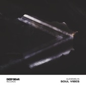 Soul Vibes artwork