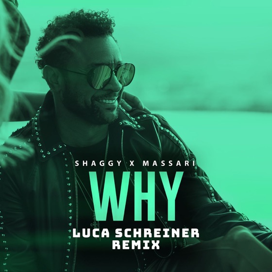 Cover artwork for Why (Luca Schreiner Remix)