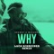 Why (Luca Schreiner Remix) - Shaggy & Massari lyrics