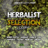 Herbalist Selection Riddim artwork