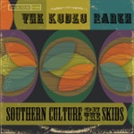 Southern Culture On the Skids - Busy Road
