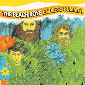 The Beach Boys - All Summer Long - 排舞 音乐