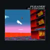 Pleader (Mr. Jukes Remix) [feat. The Age of L.U.N.A.] - Single album lyrics, reviews, download
