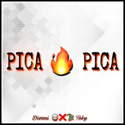 Pica Pica - Single by Divani & Toky album reviews, ratings, credits