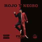 Rojo y Negro artwork