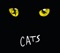 Prologue: Jellicle Songs For Jellicle Cats artwork