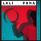 The Frame (feat. Dntel) - Lali Puna lyrics
