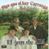 Siga Que Si Hay Carranga, Vol. 2, 2011
